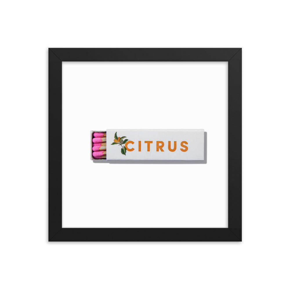 Citrus Club Framed Print