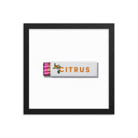 Citrus Club Framed Print