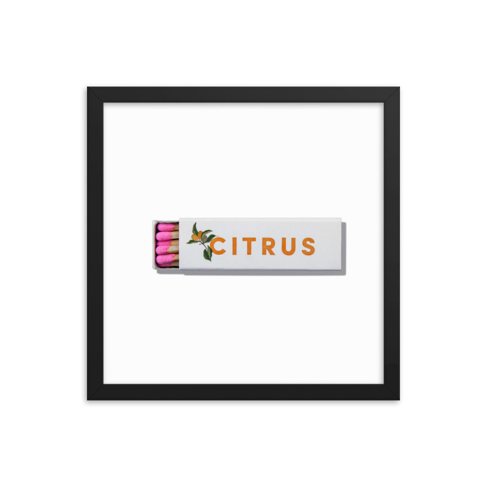 Citrus Club Framed Print