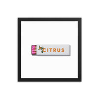 Citrus Club Framed Print