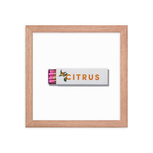 Citrus Club Framed Print