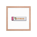 Citrus Club Framed Print