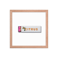 Citrus Club Framed Print