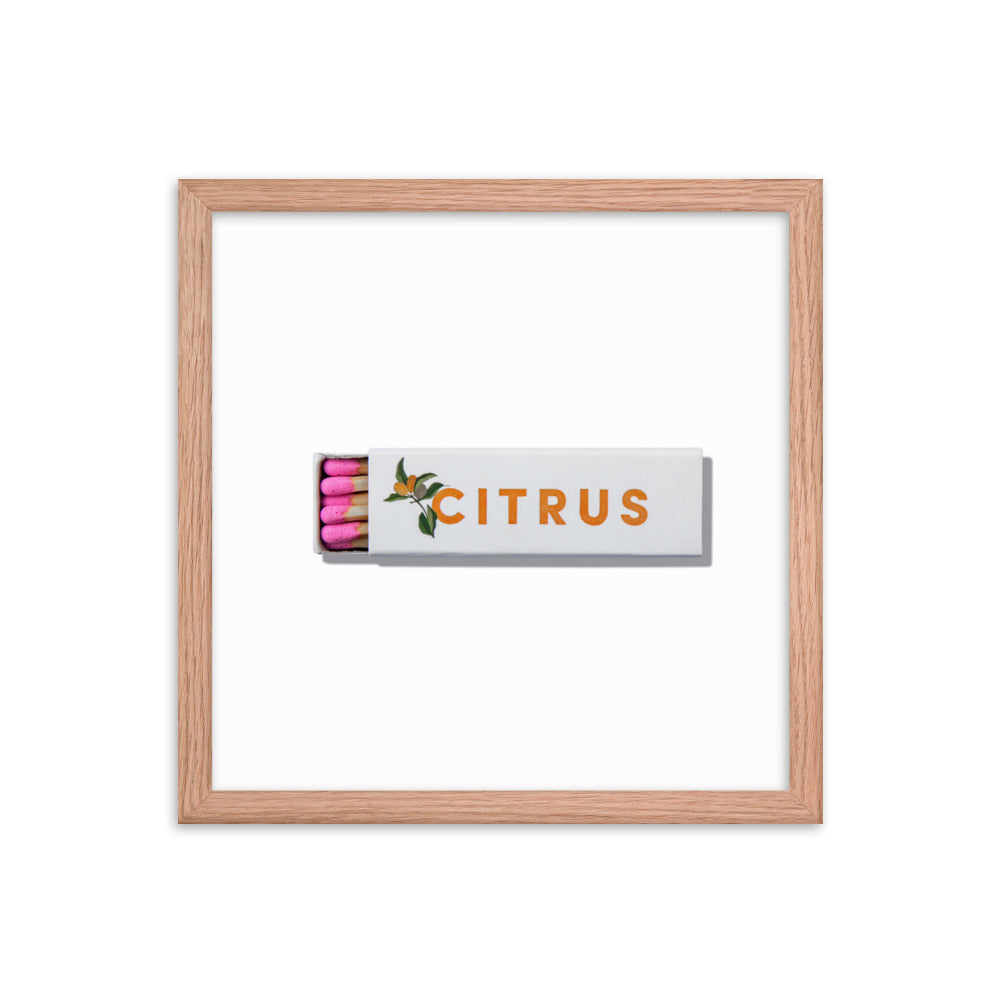 Citrus Club Framed Print