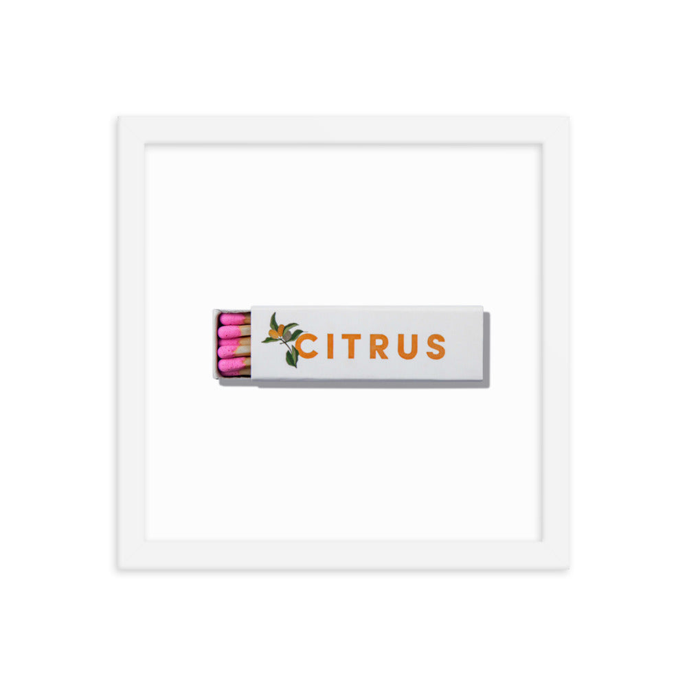 Citrus Club Framed Print