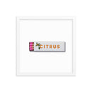 Citrus Club Framed Print