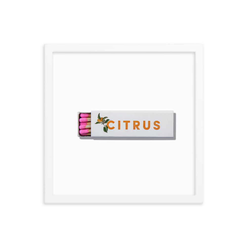 Citrus Club Framed Print